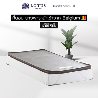 LOTUS ที่นอนยางพารา รุ่น Hospital Series 1.0 Latex made in Belgium ส่งฟรี