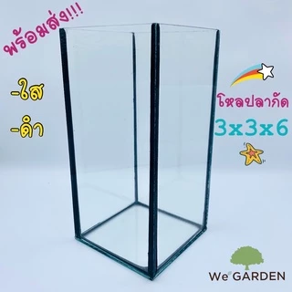🎊🎉โหลปลากัดขนาด 3x3x6 3x3x7 นิ้ว ตู้ปลา ตู้ปลาขนาดเล็ก ปลากัด