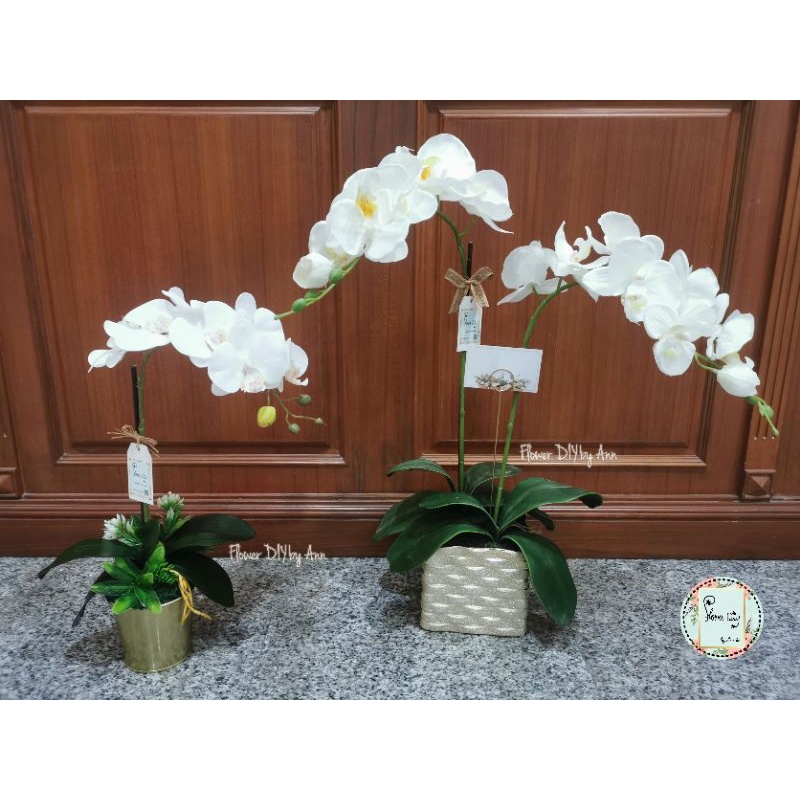 แจกันดอกกล้วยไม้ฟาแลนด์ กระถางกล้วยไม้