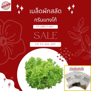 🌱เมล็ดผักสลัดอินทรีย์ กรีนแทงโก้ 100 เมล็ด 10แถม1🌱อัตราการงอกสูง มีคู่มือการปลูกทุกซอง เมล็ดพันธุ์ เมล็ดพันธุ์ผัก