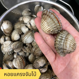 อาหารทะเล พร้อมส่ง! หอยแครงจัมโบ้ / Heng Heng Seafood