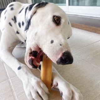 ชีสแท่งนมจามรี ไซส์ M+ /Himalayan Dog Chew Large Size (yak cheese)