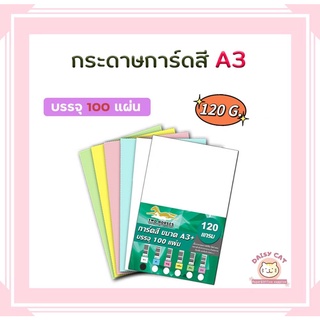 กระดาษการ์ดสี ขนาด A3+ หนา 120,150,180 แกรม ( 30.5 x 48.2 cm.) พื้นผิวเรียบ บรรจุ 100 แผ่น