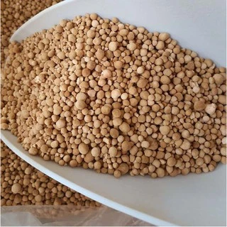 ขนาด 1 กิโล เม็ดสาคูแท้ 100% จากต้นสาคูธรรมชาติ | ออร์แกนิค |คัดเกรด | ของดีจากเมืองพัทลุง
