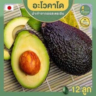 อะโวคาโด จำนวน 12 ลูก AVOCADO HASS AUSTRALIA  อะโวคาโด้ อะโวคาโดสด อโวคาโด้  อโวคาโด ผลไม้สด นำเข้า