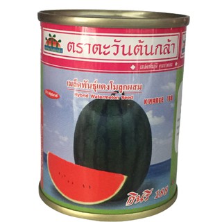 แตงโม กินรี188 40g ตะวันต้นกล้า