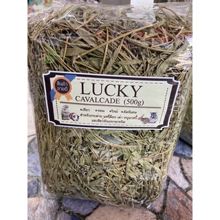 หญ้าถั่วคาวาเขด Lucky 500 g เปลี่ยนแพคเกตใหม่แต่ปริมาณเท่าเดิม