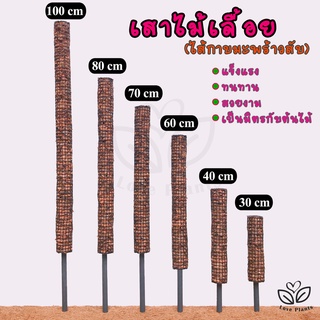 เสาไม้เลื้อย / หลักไม้เลื้อย ไส้กาบมะพร้าวสับ (PVC)