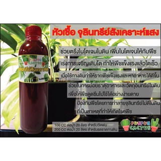 จุลินทรีย์สังเคราะห์แสง(หัวเชื้อ)  ขนาด 500 cc. ✅เร่งแตกราก ✅ออกดอก ✅ผลดก💯💯