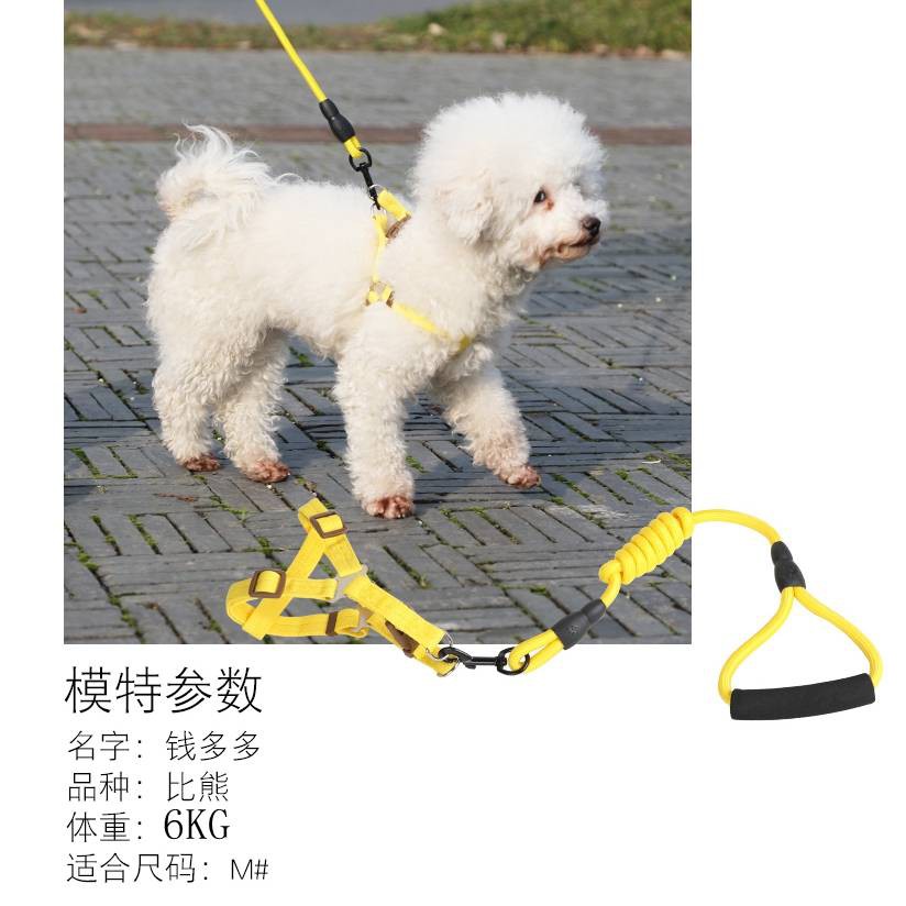 Boqi factory สายรัดเดินสุนัขสาย จูงสัตว์เลี้ยง ขนาดใหญ่และขนาดกลาง WD012