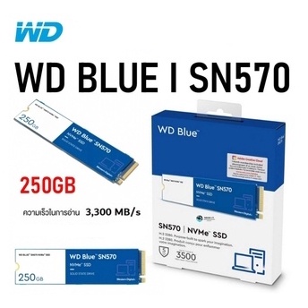 WD BLUE 250 GB SSD M.2 PCIe  SN570 (WDS250G3B0C) NVMe