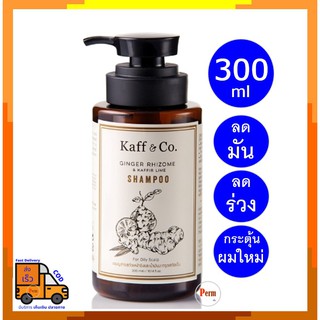 Kaff&amp;Co แชมพูขิง และน้ำมันมะกรูด หยุดผมร่วง ปิดผมขาว ผมมัน สำหรับหนังศรีษะมันมาก GingerRhizome&amp;Kaffir Lime shampoo 300ml