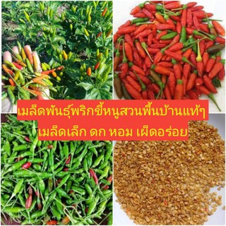 พันธุ์พริกขี้หนูสวนเม็ดเล็ก(พริกหอมสวน) เผ็ดหอมอร่อย..ชุดละ 200++ เมล็ด