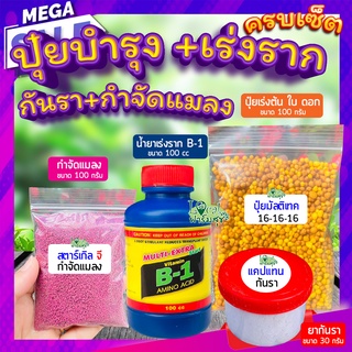 เซ็ตปุ๋ยบำรุง+เร่งราก+กันรา+กันแมลง 🍂 ปุ๋ยเร่งโต ฟื้นฟูราก ป้องกันเชื้อราและโรคเน่า กันแมลงศัตรูพืช ปุ๋ยบอนสี ปุ๋ยกุหลาบ