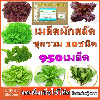 เมล็ด ผักสลัด 5-10ชนิด 500 เมล็ด คุ้มกว่าซื้อเดี่ยว พันธ์ุ เรด โอ๊ค โบว์ เรดคอส บัตเตอร์เฮด ร็อกเก็ต กรีน เคล พาสเลย์132