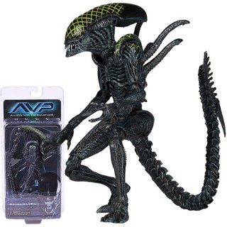 Figma ฟิกม่า Model Figure ฟิกเกอร์ โมเดล AVP Grid Alien Movie NECA