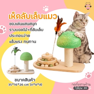 รางบอลเห็ด ของเล่นแมว ลับเล็บแมว รางบอลแมว ที่ลับเล็บแมว ของเล่น แมว ที่ฝนเล็บแมว ฝนเล็บแมว😸