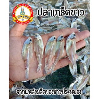 ปลาเกร็ดขาว ปลาเกร็ดขาวตากแห้ง ขนาด 1000 กรัม