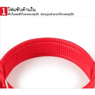 PP-142 🐕🐾 ปลอกคอสุนัขและแมว แบบไนล่อน 🐾🐈 สำหรับพันธุ์ใหญ่-พันธุ์เล็ก