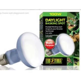 หลอดไฟ​ Exo Terra - Daylight Basking Spot 100W หลอด UVA เฉพาะจุด สำหรับกลางวัน 100วัตต์