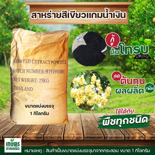 สาหร่ายสีเขียวแกมน้ำเงิน (ผง) ละลายน้ำ 100% กระตุ้นการออกดอกและแทงยอด บรรจุ 1 กิโลกรัม