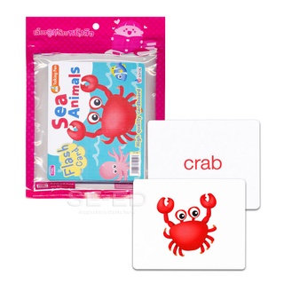 Flash Cards : Sea Animals