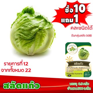 (ซื้อ10แถม1 ฟรีคู่มือ) เมล็ดพันธุ์ สลัดแก้ว ICEBERG 0.5กรัม (ประมาณ 500เมล็ด) ผักกาดแก้ว ทำมะชาดฟาร์ม  ผักสลัด