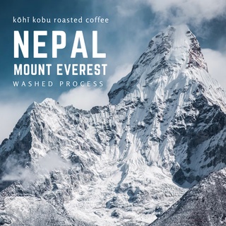 🏔[คลีนจัดชัดด้วยอโรมา] เนปาล เอเวอร์เรส (Nepal Mount Everest) คั่วสดใหม่ทุกรอบ by kōhī kobu 100 - 200g.