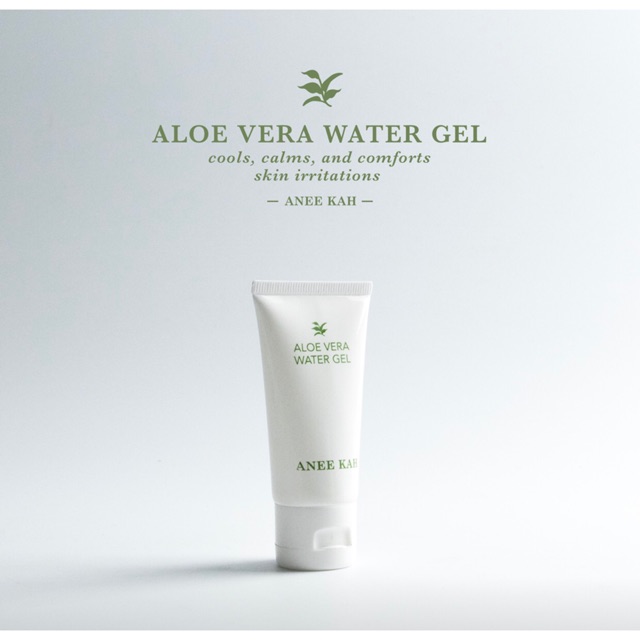 ว่านหางจรเข้ : alovera