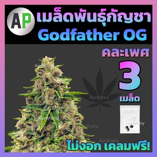 เมล็ดกัญชา Godfather OG Photo ก็อดฟาเธอร์ โฟโต้ 3เมล็ด คัดเมล็ดแก่จัด อัตราการงอกสูง เมล็ดพันธุ์กัญชา