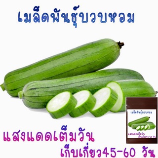 15 เมล็ด  เมล็ดพันธุ์บวบหอม