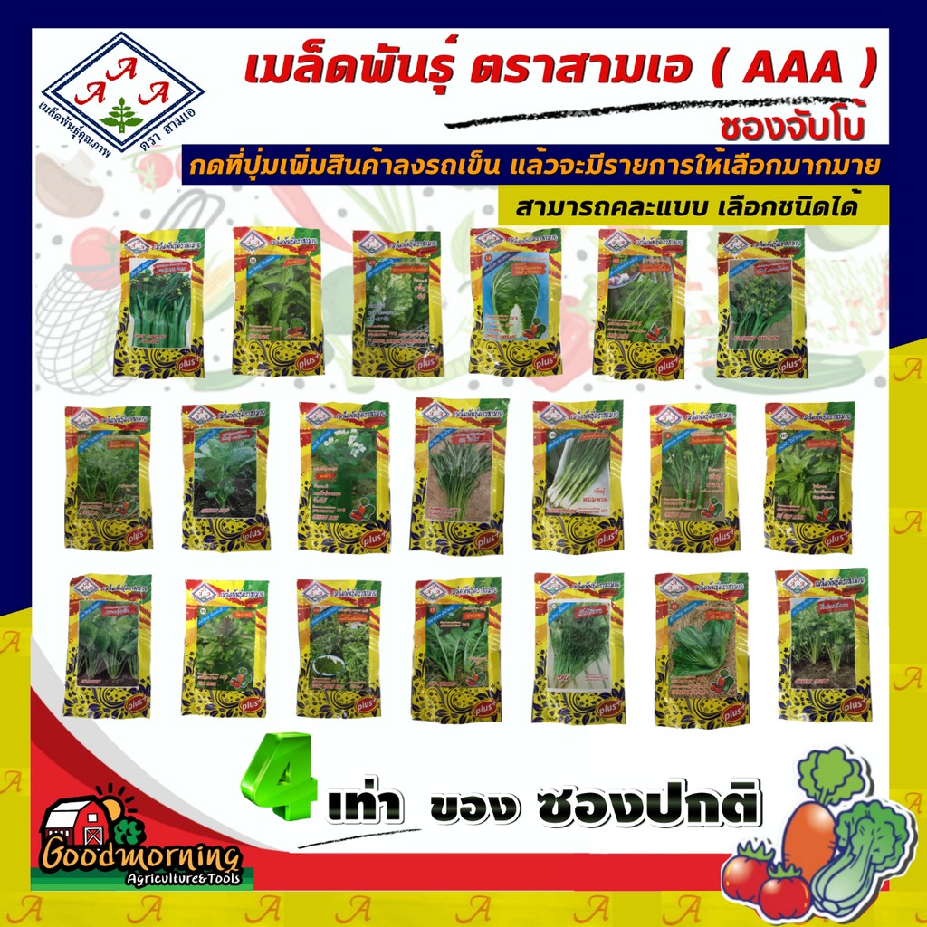 AAA 🇹🇭 ผักซอง 3A กินหัว กินใบ ผักซองตั้ง ผักซองจัมโบ้ ซอง​จัมโบ้​ เมล็ดพันธุ์  สามเอ ผักราคาถูก เอ