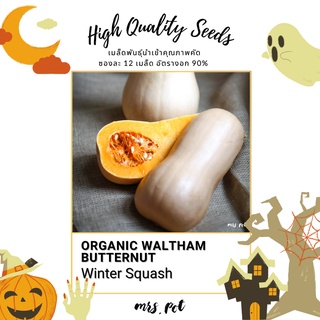 เมล็ดฟักทองนำเข้า สายพันธุ์ Waltham Butternut Winter Squash (Organic)