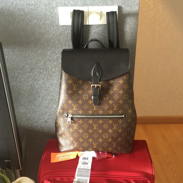 Louis Vuitton Monogram MacArthur Parc