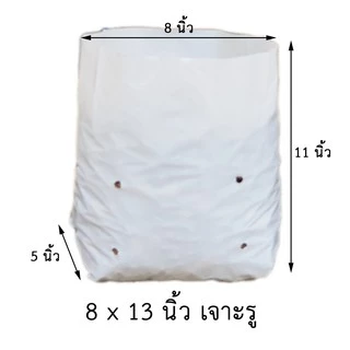 (20 ใบ) คุ้มราคา ถุงปลูกเมล่อน มะเขือเทศ ขนาด 8x13 นิ้ว เจาะรู (B001.2 8x13 เจาะรู 20 ใบ)