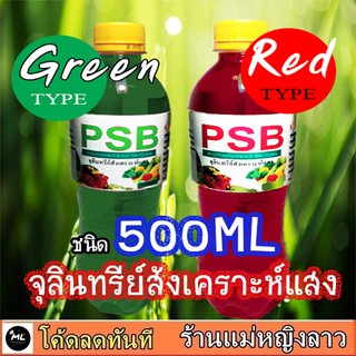 หัวเชื้อ จุลินทรีย์สังเคราะห์แสง สีแดง เขียว สูตรเข้มข้น  พร้อมวิธีขยาย PSB ฮอร์โมน บำรุงผักผลไม้ พืช ดอก