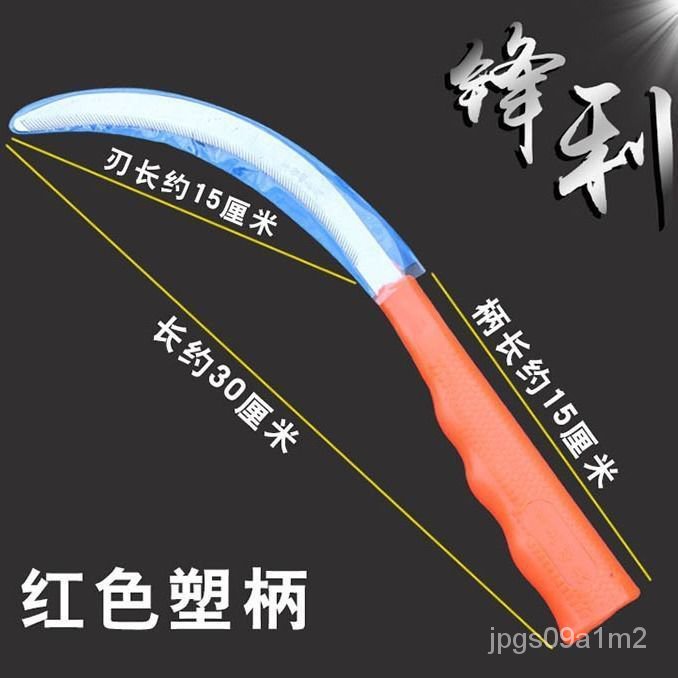 My Image 62