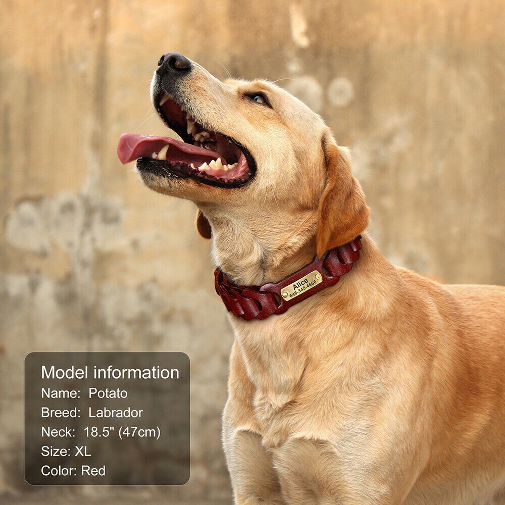 ปลอกคอหนังถัก ID ชื่อเยอรมัน Shepherd Boston L XL สําหรับสัตว์เลี้ยง สุนัข ราคา ถูกที่สุด ดีลบีเคเค แกลเลอรีภาพที่ 8