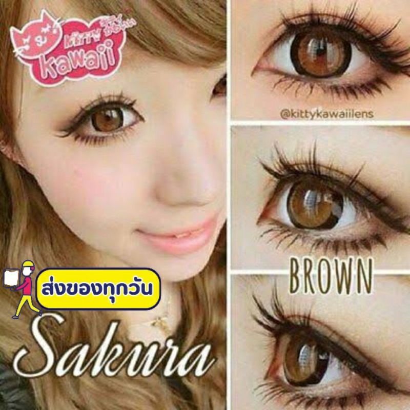 💖 Kitty Kawaii Sakura ๑ gray brown black Contactlens คอนแทคเลนส์