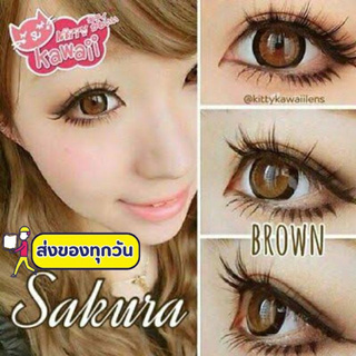 💖 Kitty Kawaii Sakura ๑ gray brown black (ค่าปกติ-ค่าสายตา มีของ Swetty plus , Guess secret ) Contactlens คอนแทคเลนส์