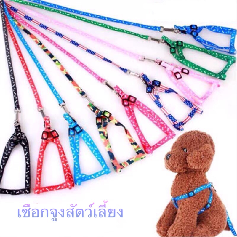 [ ลด15% ขั้นต่ำ99 code:  PTPDSGUA ] สายจูงแมว สายจูงรัดอก สายจูงสัตว์เลี้ยง (🇹🇭พร้อมส่ง📦)
