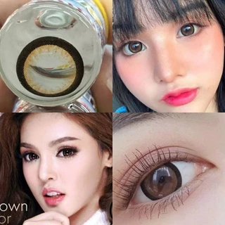 คอนแทคเลนส์ มี อย.ไทย รุ่น Sakura สีเทา/ตาล Gray/Brown มีค่าสายตา (0.00)-(-10.00)