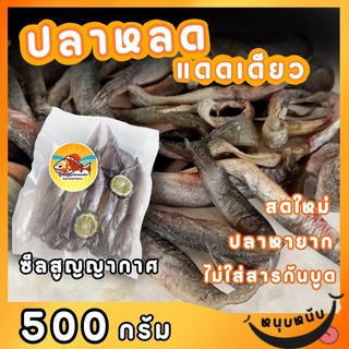 ปลาหลดแดดเดียว ปลาเค็ม by รุ่งอรุณ