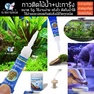 (ส่งด่วนจากในไทย) กาวติดปะการัง ติดไม้น้ำ กาวติดใต้น้ำ กาวติดหิน SuperGlue 5g. เจลติดในน้ำได้ กาวติดต้นไม้น้ำ กาวติดมอส