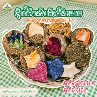 📌ลดพิเศษ!🍪คุ้กกี้สำหรับสัตว์ฟันแทะ คุ้กกี้หญ้า คุ้กกี้ข้าวโอ๊ต ผลิตจากธรรมชาติ ขนมสำหรับสัตว์ฟันแทะ