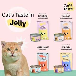 อาหารเปียกแมว Cats Taste เพาช์ ขนาด75กรัม