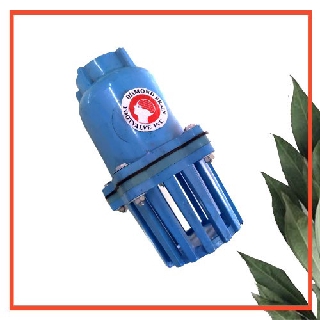 ฟุตวาล์ว Footvalve หัวกะโหลก PVC 2"