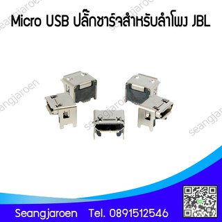 Micro USB/ปลั๊กชาร์จ สำหรับลำโพง JBL 1ชิ้น