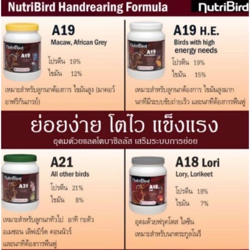 Nutribird A19 อาหารลูกป้อน แบ่งขาย - รูปที่ 2