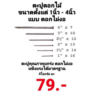 ตะปู ตะปูตอกไม้ ตะปูคุณภาพแกร่ง คุณภาพสูง ตอกไม่งอ แข็งแรงได้มาตรฐาน ขนาด 1นิ้ว 1.5นิ้ว 2นิ้ว 2.5นิ้ว 3นิ้ว 4นิ้ว ถูกสุด